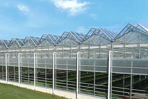 溫室的主要類型、材料選擇及配套設施設計概述