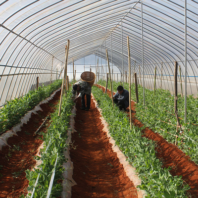 玻璃溫室、薄膜溫室與無土栽培 農業溫室大棚材料及配套設施的設計要點