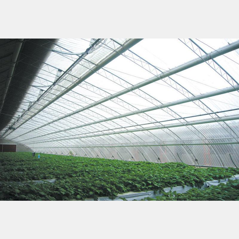 專業構筑，智慧生長 盛騰溫室引領蔬菜大棚現代化建造新風尚