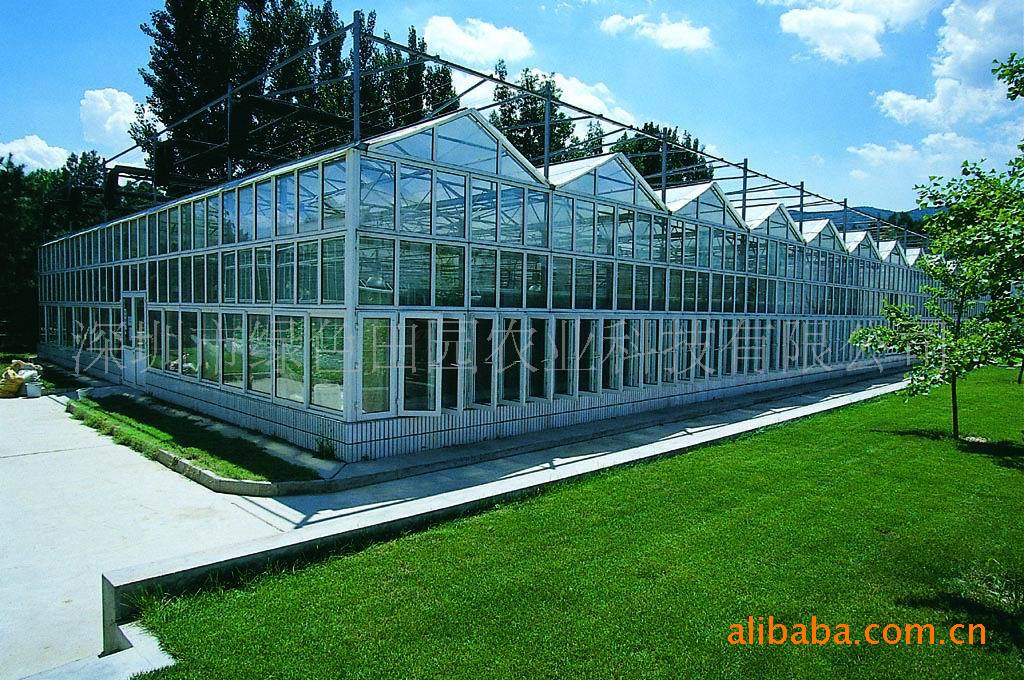 專業承建LYWT3型庭院溫室 現代農業溫室大棚設施新選擇