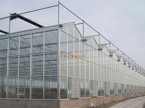 專業溫室大棚建設 材料選擇與配套設施設計的全面解析