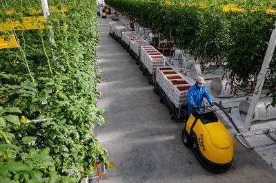 從春天啟程！古浪縣域經濟發展跑出“加速度” 干出“新精彩”——農業溫室篇